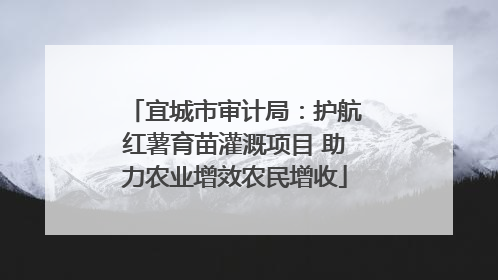 宜城市审计局：护航红薯育苗灌溉项目 助力农业增效农民增收