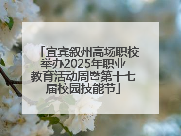 宜宾叙州高场职校举办2025年职业教育活动周暨第十七届校园技能节