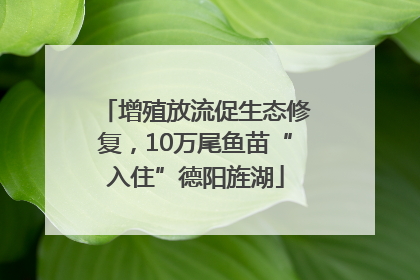 增殖放流促生态修复，10万尾鱼苗“入住”德阳旌湖
