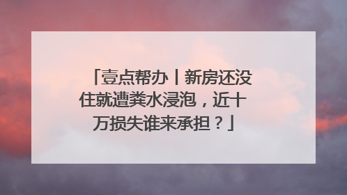 壹点帮办丨新房还没住就遭粪水浸泡，近十万损失谁来承担？