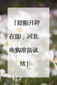 夏粮开秤在即，河北收购准备就绪