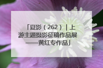 夏影（262）｜上游主题摄影征稿作品展——黄红专作品