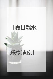 夏日戏水 乐享清凉