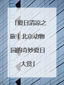夏日清凉之旅丨北京动物园的奇妙夏日大赏