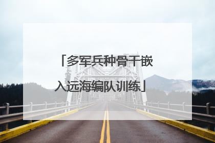 多军兵种骨干嵌入远海编队训练