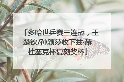 多哈世乒赛三连冠，王楚钦/孙颖莎收下兹·赫杜塞克杯复刻奖杯