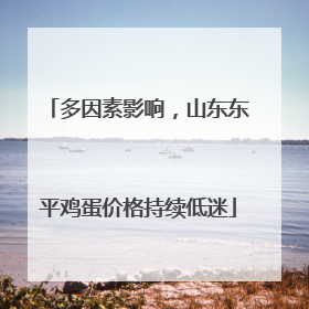 多因素影响，山东东平鸡蛋价格持续低迷