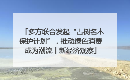 多方联合发起“古树名木保护计划”，推动绿色消费成为潮流丨新经济观察