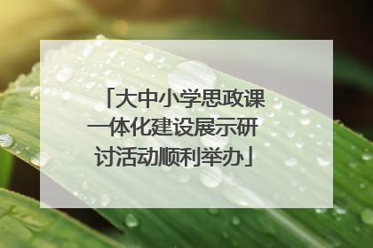 大中小学思政课一体化建设展示研讨活动顺利举办