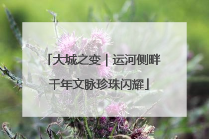 大城之变｜运河侧畔 千年文脉珍珠闪耀
