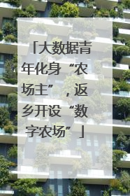大数据青年化身“农场主”，返乡开设“数字农场”