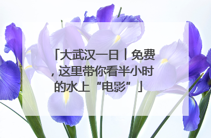 大武汉一日︱免费，这里带你看半小时的水上“电影”