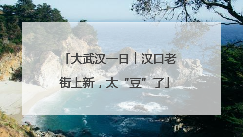 大武汉一日︱汉口老街上新，太“豆”了