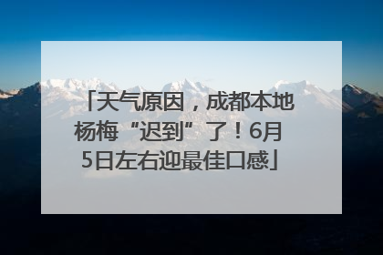 天气原因，成都本地杨梅“迟到”了！6月5日左右迎最佳口感