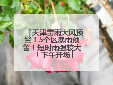 天津雷雨大风预警！5个区暴雨预警！短时雨强较大！下午开场