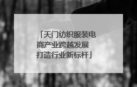 天门纺织服装电商产业跨越发展 打造行业新标杆