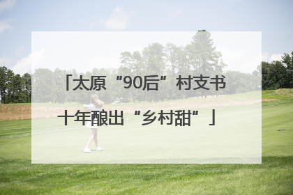 太原“90后”村支书十年酿出“乡村甜”