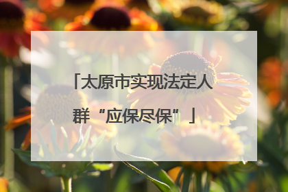 太原市实现法定人群“应保尽保”