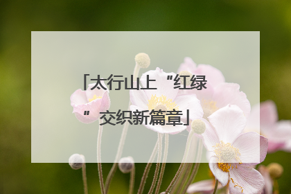太行山上“红绿”交织新篇章