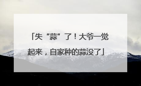 失“蒜”了！大爷一觉起来，自家种的蒜没了