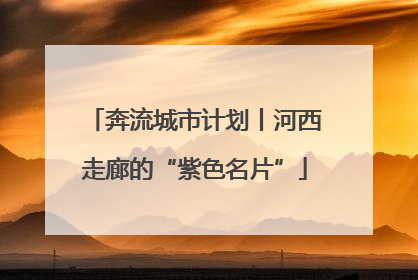 奔流城市计划丨河西走廊的“紫色名片”