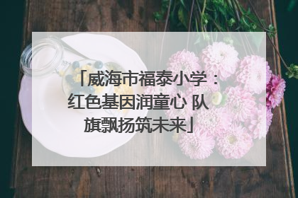 威海市福泰小学：红色基因润童心 队旗飘扬筑未来