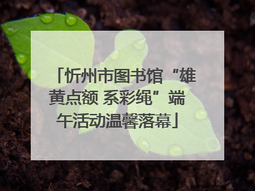 忻州市图书馆“雄黄点额 系彩绳”端午活动温馨落幕