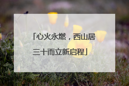 心火永燃，西山居三十而立新启程