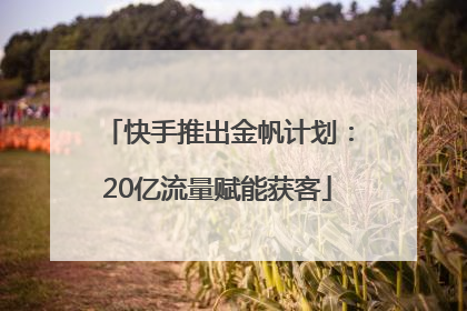 快手推出金帆计划：20亿流量赋能获客