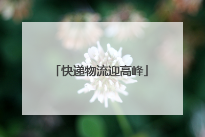 快递物流迎高峰