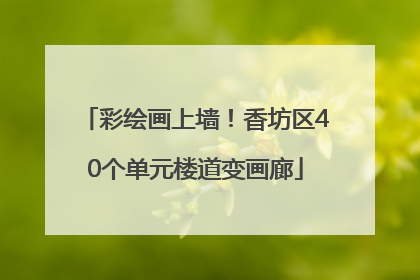彩绘画上墙！香坊区40个单元楼道变画廊