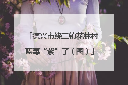 德兴市绕二镇花林村蓝莓“紫”了（图）
