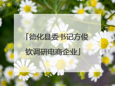 德化县委书记方俊钦调研电商企业
