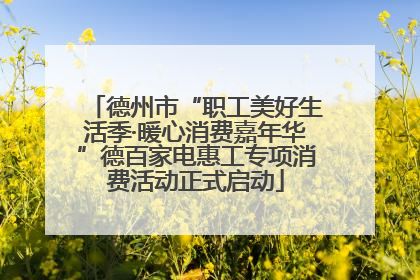 德州市“职工美好生活季·暖心消费嘉年华”德百家电惠工专项消费活动正式启动