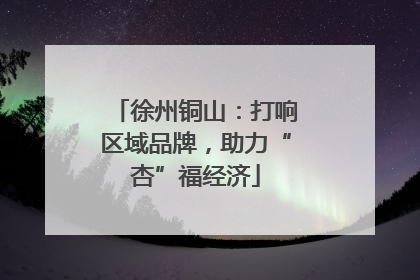 徐州铜山：打响区域品牌，助力“杏”福经济
