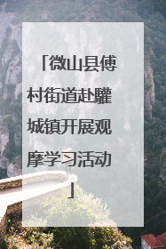 微山县傅村街道赴驩城镇开展观摩学习活动