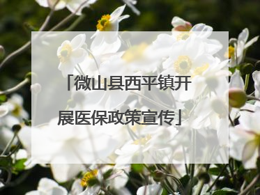 微山县西平镇开展医保政策宣传