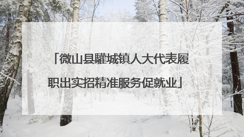 微山县驩城镇人大代表履职出实招精准服务促就业
