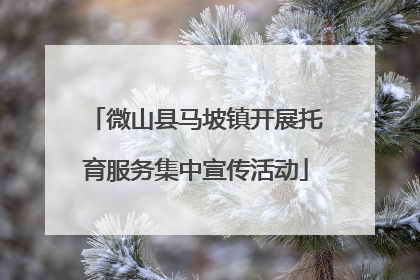 微山县马坡镇开展托育服务集中宣传活动