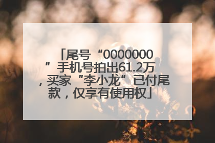 尾号“0000000”手机号拍出61.2万，买家“李小龙”已付尾款，仅享有使用权