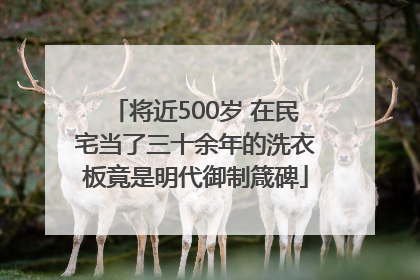 将近500岁 在民宅当了三十余年的洗衣板竟是明代御制箴碑