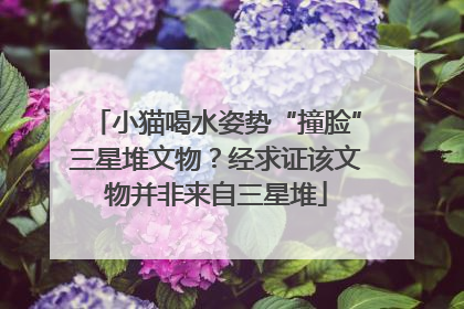 小猫喝水姿势“撞脸”三星堆文物？经求证该文物并非来自三星堆
