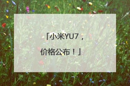 小米YU7，价格公布！