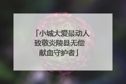 小城大爱最动人 致敬炎陵县无偿献血守护者