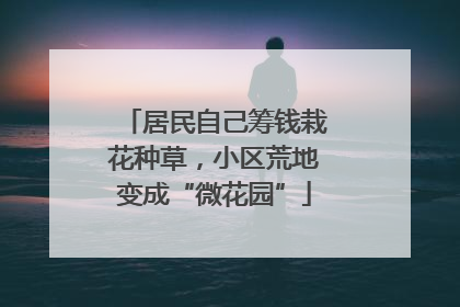 居民自己筹钱栽花种草，小区荒地变成“微花园”