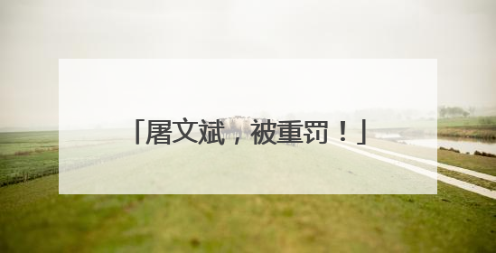 屠文斌，被重罚！