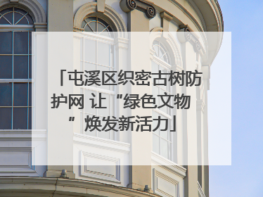 屯溪区织密古树防护网 让“绿色文物”焕发新活力