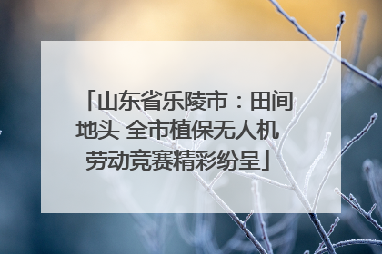 山东省乐陵市：田间地头 全市植保无人机劳动竞赛精彩纷呈