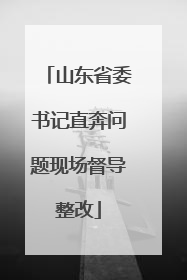 山东省委书记直奔问题现场督导整改