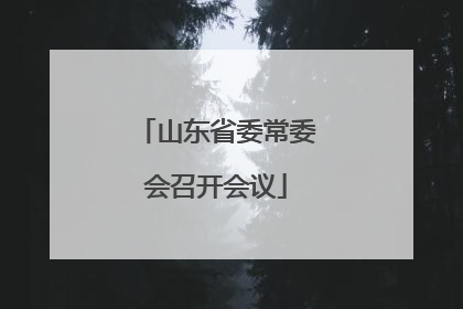 山东省委常委会召开会议